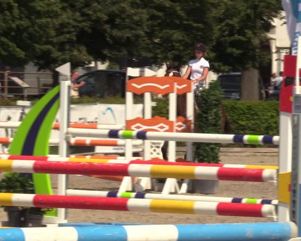 Reitturnier Neustadt/Dosse 2021