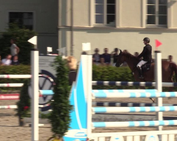 Reitturnier Neustadt/Dosse 2021