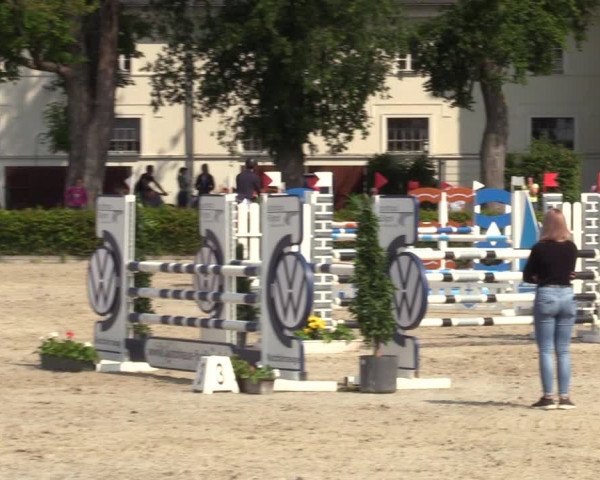 Reitturnier Neustadt/Dosse 2021
