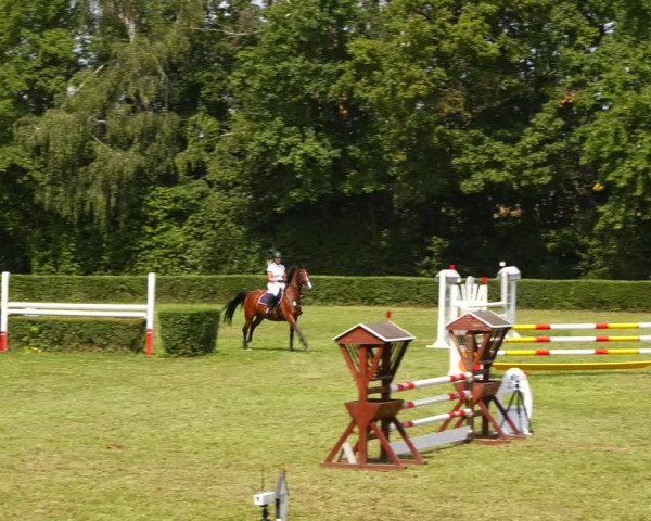 Reitturnier Westeregeln 2021
