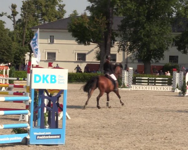 Reitturnier Neustadt/Dosse 2021