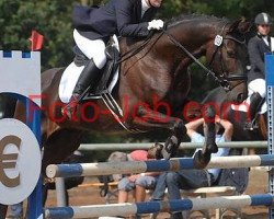 dressage horse Caro 86 (Oldenburg, 2006, from Carry Gold)