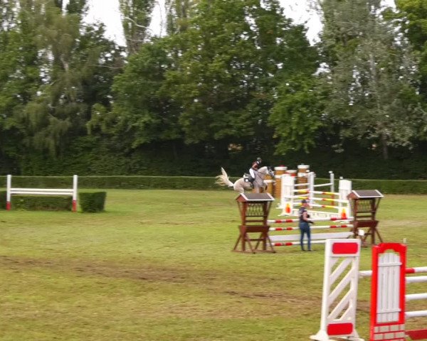 Reitturnier Westeregeln 2021