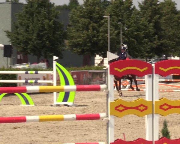 Reitturnier Neustadt/Dosse 2021