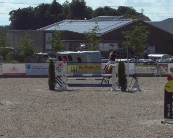 Reitturnier Gossau 2021