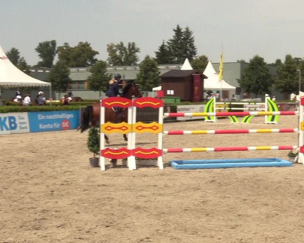 Reitturnier Neustadt/Dosse 2021