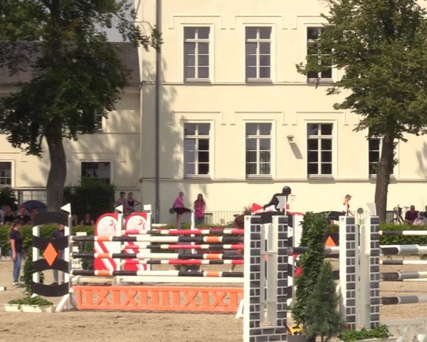 Reitturnier Neustadt/Dosse 2021