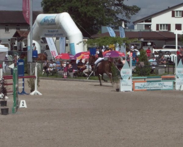 Reitturnier Gossau 2021