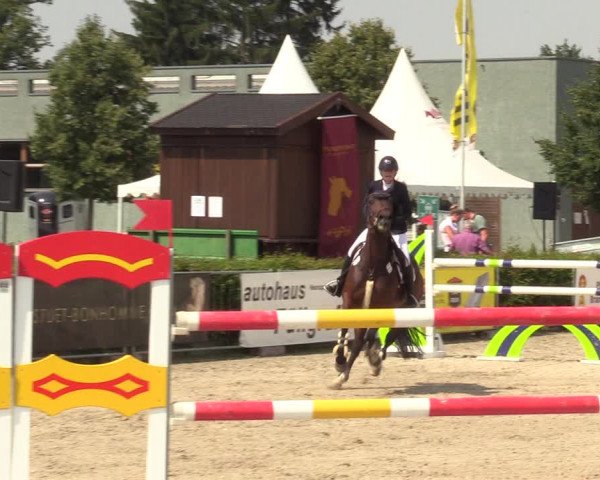 Reitturnier Neustadt/Dosse 2021