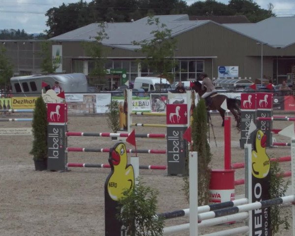 Reitturnier Gossau 2021