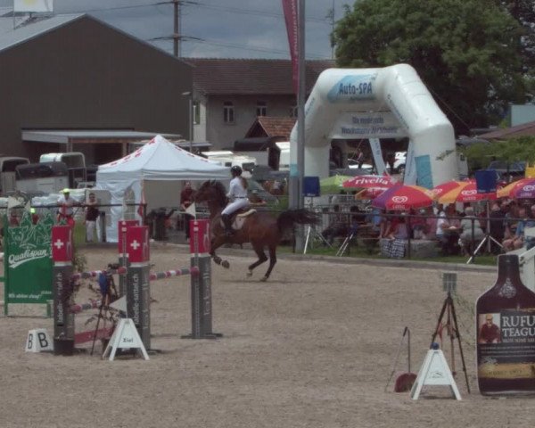 Reitturnier Gossau 2021