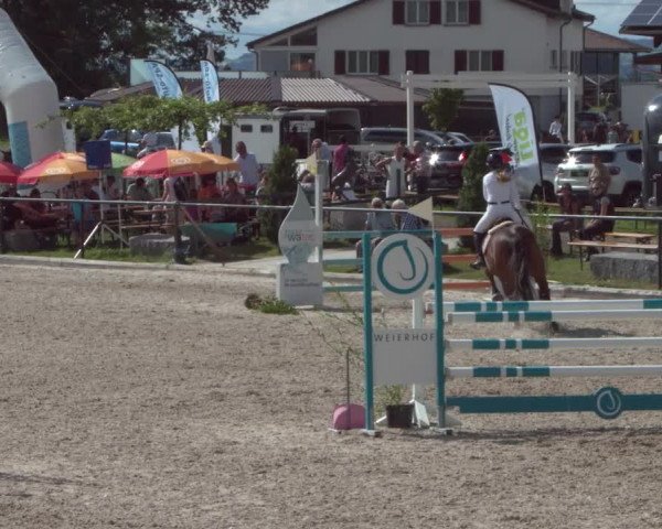 Reitturnier Gossau 2021