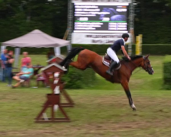Reitturnier Westeregeln 2021