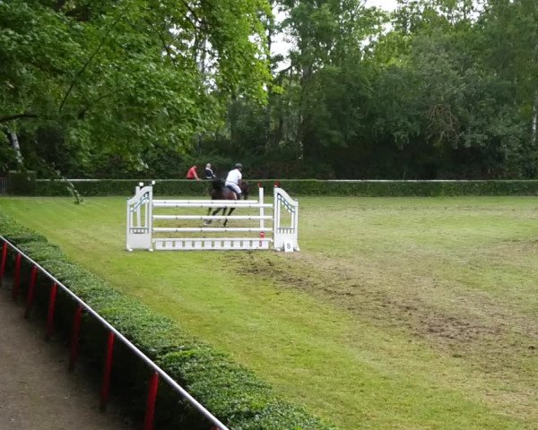 Reitturnier Westeregeln 2021