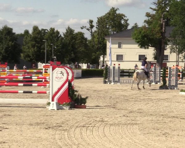 Reitturnier Neustadt/Dosse 2021