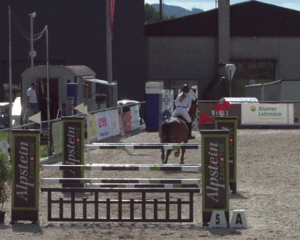 Reitturnier Gossau 2021