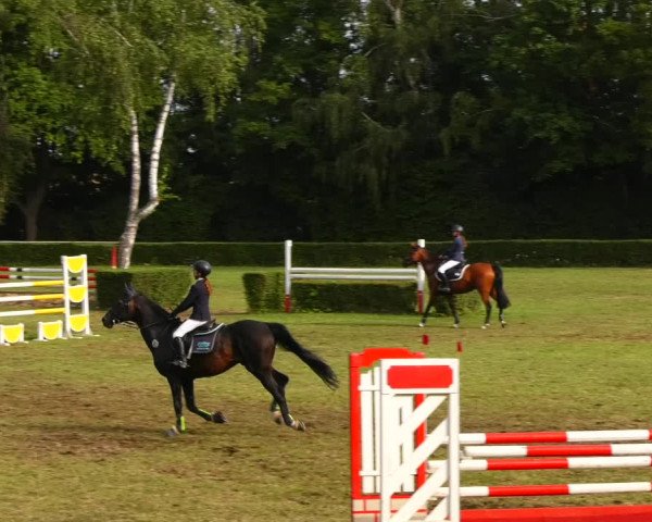 Reitturnier Westeregeln 2021