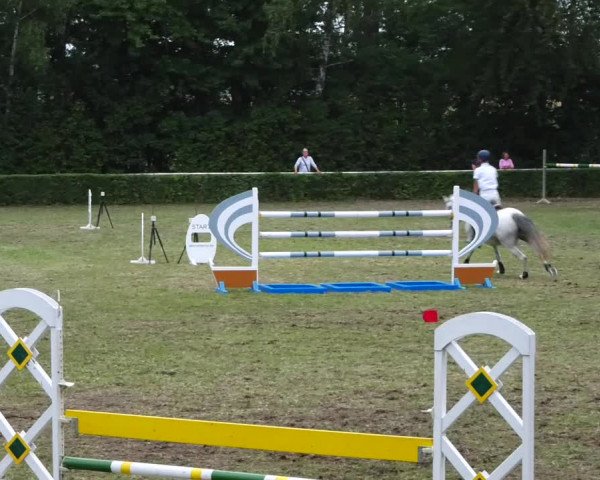 Reitturnier Westeregeln 2021