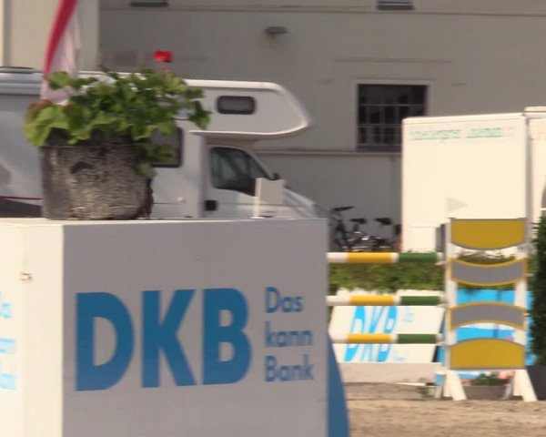 Reitturnier Neustadt/Dosse 2021