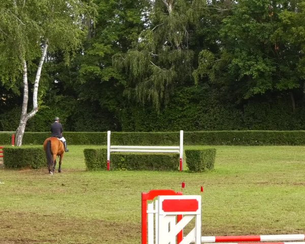 Reitturnier Westeregeln 2021