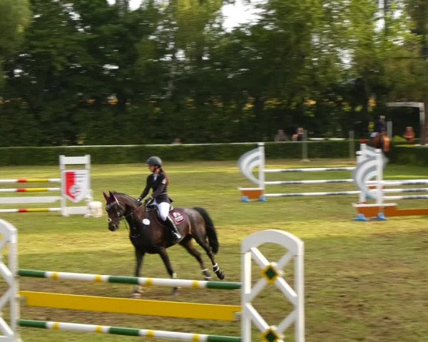 Reitturnier Westeregeln 2021