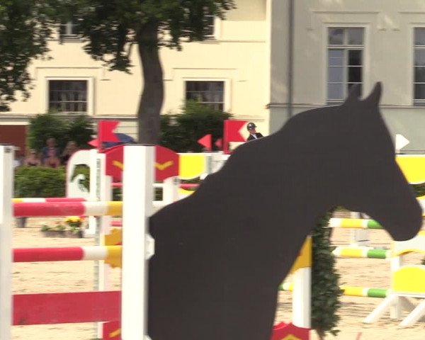 Reitturnier Neustadt/Dosse 2021