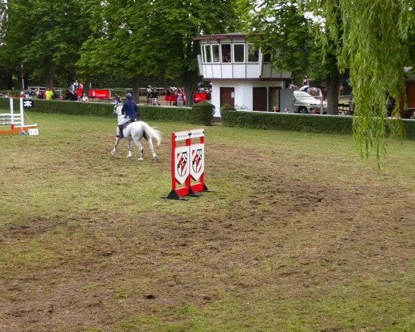 Reitturnier Westeregeln 2021