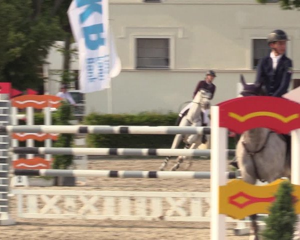 Reitturnier Neustadt/Dosse 2021