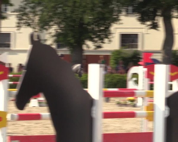 Reitturnier Neustadt/Dosse 2021
