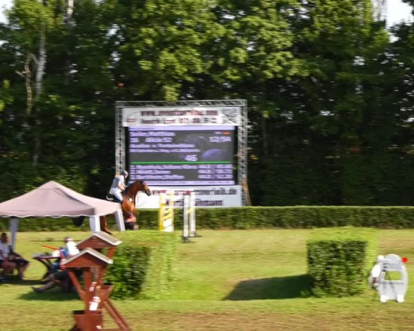 Reitturnier Westeregeln 2021