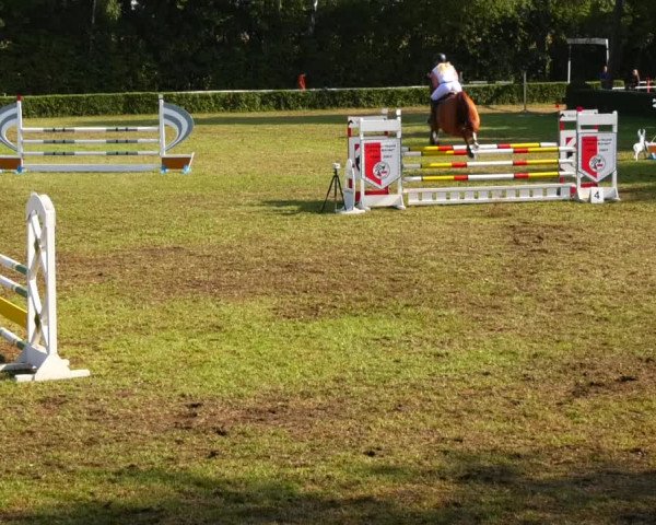 Reitturnier Westeregeln 2021