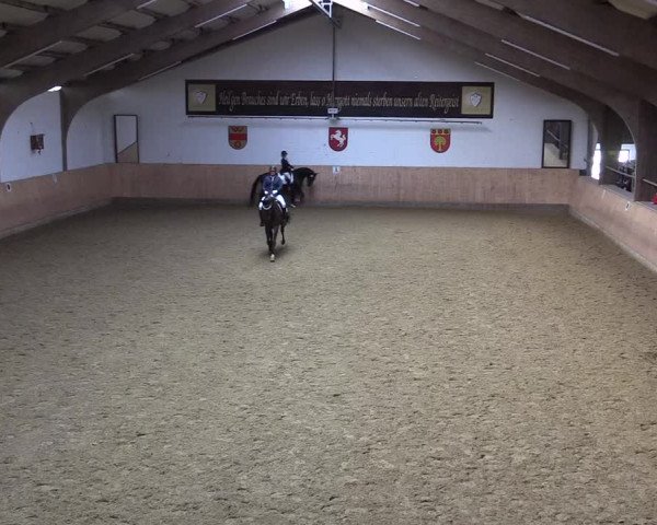 Reitturnier Olfen-Vinnum 2021