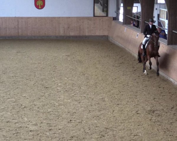 Reitturnier Olfen-Vinnum 2021