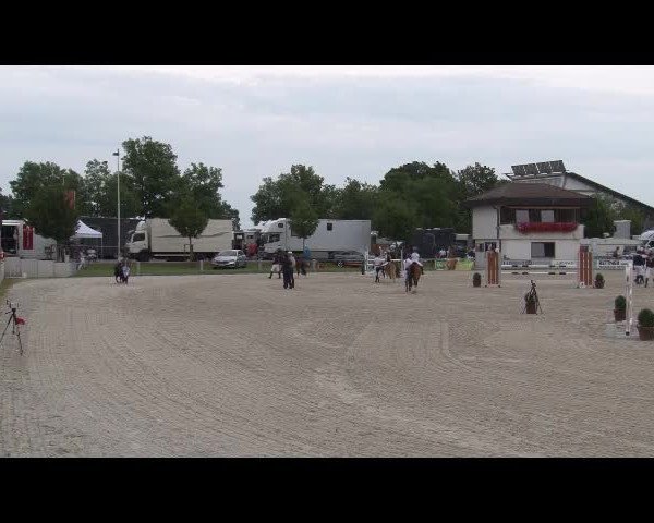 Reitturnier Grafenrheinfeld/Ufr. 2021