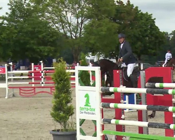 Reitturnier Rot am See – Musdorf 2021
