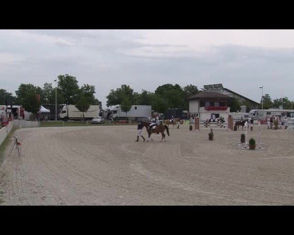 Reitturnier Grafenrheinfeld/Ufr. 2021