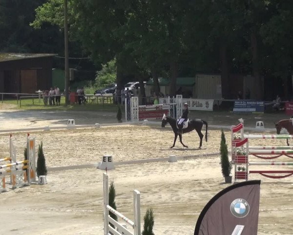Reitturnier Neunkirchen-Salchendorf 2021