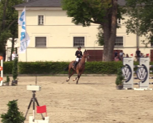 Reitturnier Neustadt/Dosse 2021