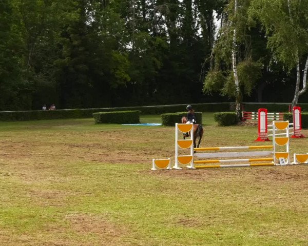 Reitturnier Westeregeln 2021