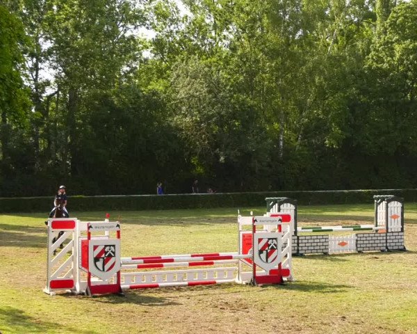 Reitturnier Westeregeln 2021