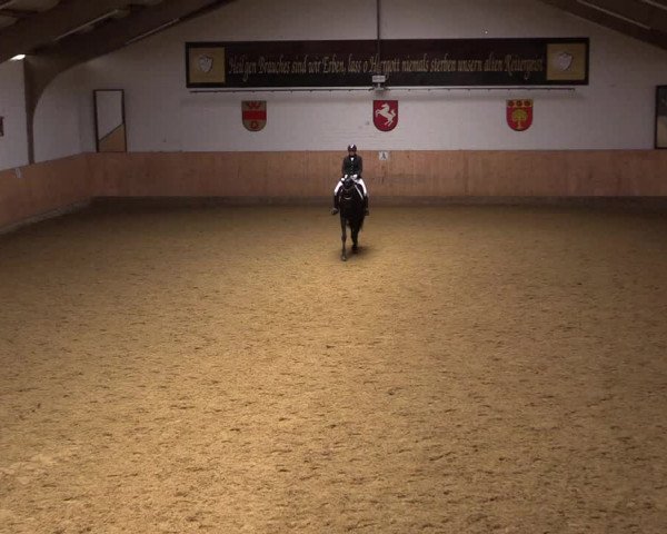 Reitturnier Olfen-Vinnum 2021