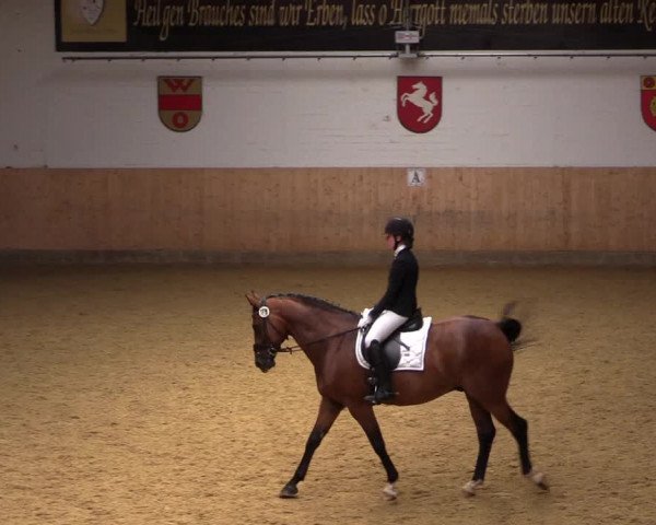 Reitturnier Olfen-Vinnum 2021