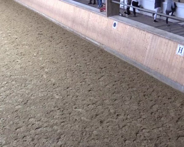 Reitturnier Olfen-Vinnum 2021