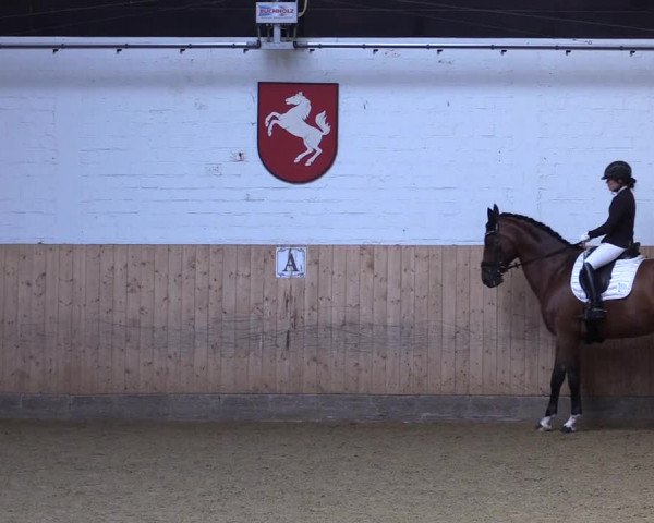 Reitturnier Olfen-Vinnum 2021