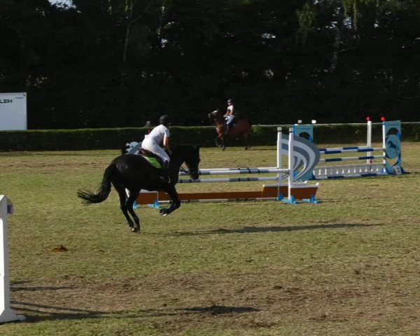 Reitturnier Westeregeln 2021