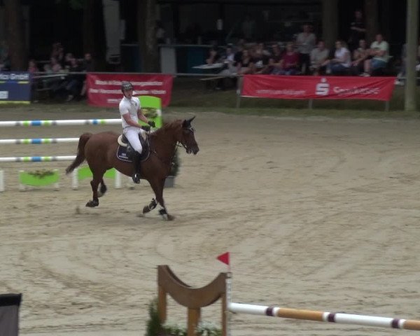 Reitturnier Neunkirchen-Salchendorf 2021