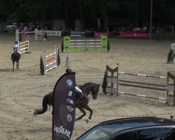 Reitturnier Neunkirchen-Salchendorf 2021