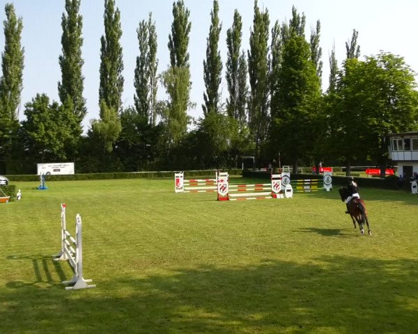 Reitturnier Westeregeln 2021