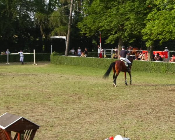 Reitturnier Westeregeln 2021