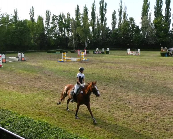 Reitturnier Westeregeln 2021